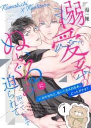 溺愛系のぬいぐるみに迫られて困っています【描き下ろしおまけ付き特装版】 1