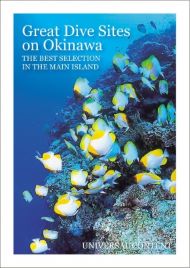 Great Dive Sites on Okinawa