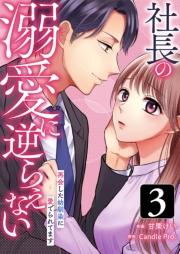 社長の溺愛に逆らえない　再会した幼馴染に愛でられてます 第3話