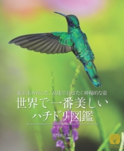 世界で一番美しい ハチドリ図鑑