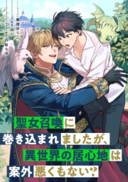 聖女召喚に巻き込まれましたが、異世界の居心地は案外悪くもない？　【連載版】（４）