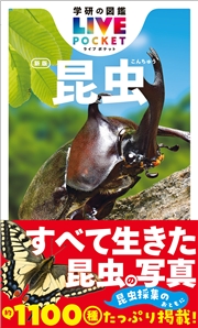 昆虫 新版