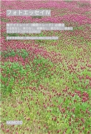 フォトエッセイIV 株デイトレード（瞬間トレード）必勝法 やる気なし、体力なし、経験なし、能力なし、欲ありそんなナナコが￥10,000/日