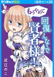 もうやめて回復しないで賢者様！(話売り)　#28