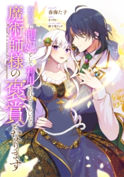 婚約者に側妃として利用されるくらいなら魔術師様の褒賞となります　【連載版】（１１）
