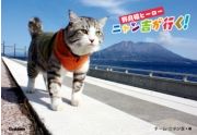 野良猫ヒーロー　ニャン吉が行く！