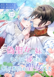 偽聖女の妹にすべてを奪われた私が本当の聖女でした 12