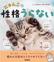 にゃんこの性格うらない