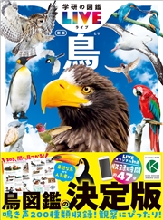 鳥 新版
