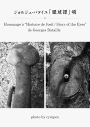 Hommage a “Histoire de l’oeil / Story of the Eyes” de Georges Bataille  Inspired by the most erotic 