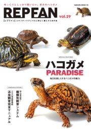 REPFAN vol.29