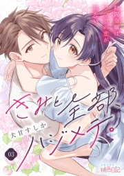 きみと全部、ハジメテ。 ～財閥令嬢はフツウの恋がしたい～ 3