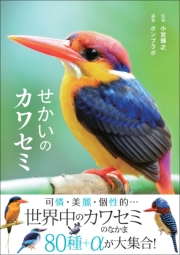 せかいのカワセミ