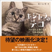キジトラのテコ　パパさんと過ごした14年の奇跡