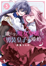 嫌われ魔女令嬢と男装皇子の婚約（３）【イラスト特典付】