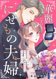 華麗なるにせもの夫婦～偽装結婚ですがエリート社長の溺愛は本物でした!?～(2)