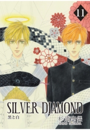 SILVER DIAMOND（11）