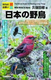 日本の野鳥