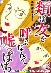 類は友を呼ぶなんて嘘っぱち！～都合のいい関係は今日でオシマイ～ 3巻