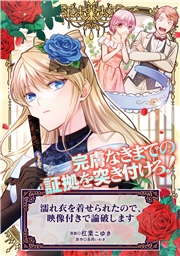 濡れ衣を着せられたので、映像付きで論破します