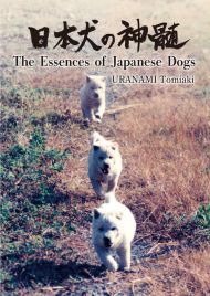 The Essences of Japanese Dogs