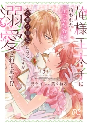 俺様王太子に拾われた崖っぷち令嬢、お飾り側妃になる…はずが溺愛されてます!?　3