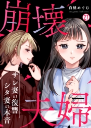 崩壊夫婦～サレ妻の復讐・シタ妻の本音(27)